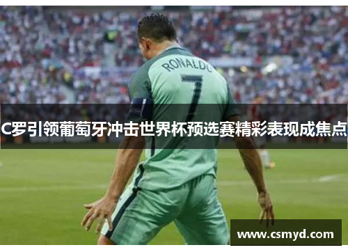 C罗引领葡萄牙冲击世界杯预选赛精彩表现成焦点