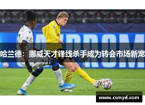 哈兰德：挪威天才锋线杀手成为转会市场新宠
