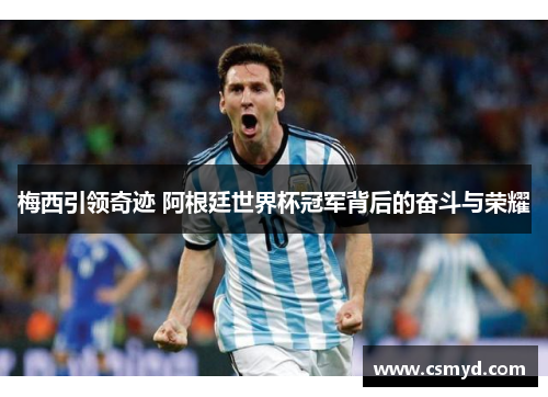 梅西引领奇迹 阿根廷世界杯冠军背后的奋斗与荣耀