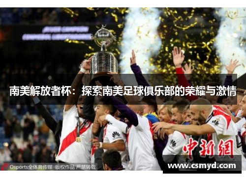 南美解放者杯：探索南美足球俱乐部的荣耀与激情