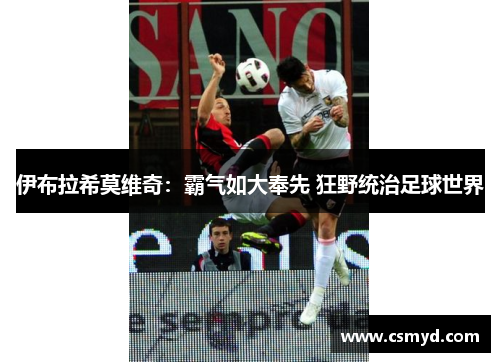 伊布拉希莫维奇：霸气如大奉先 狂野统治足球世界