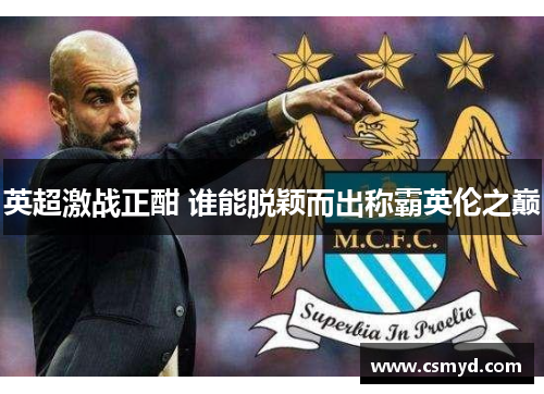 英超激战正酣 谁能脱颖而出称霸英伦之巅